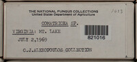 Image Associated With the Occurence